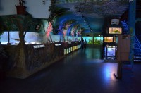 /album/fotogalerie-zoo-morsky-svet-nejvetsi-morske-akvarium-v-cr/zoo-morsky-svet-f-jpg/